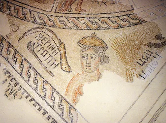 Mozaika Sepphoris, Tzippori (mozaika)